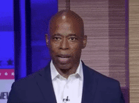 Andrew Yang GIF by GIPHY News
