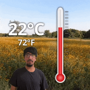 22 °C