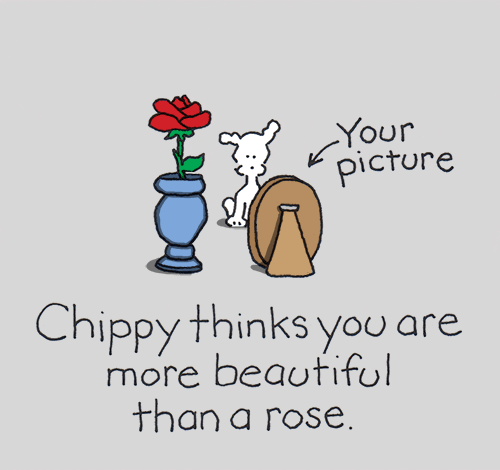 Youre Beautiful I Love You GIF by Chippy the Dog