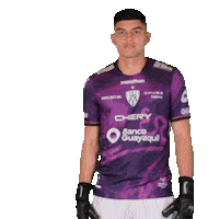 Del Valle Love Sticker by INDEPENDIENTE DEL VALLE