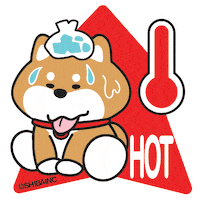 柴犬 Typhoon Sticker by SHIBAINC
