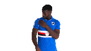 Keita Balde Samp Sticker by Sampdoria