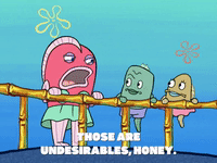 season 6 GIF by SpongeBob SquarePants