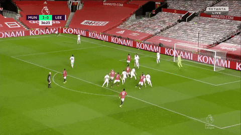 szaszabi29 giphyupload GIF