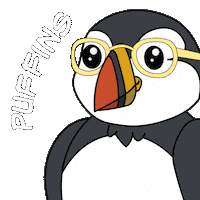 School Studying Sticker by Puffins