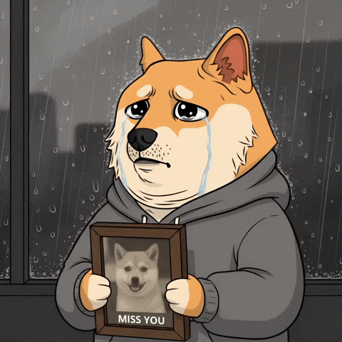 Sad Miss You GIF by Doge Pound