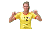 Volleyball Sticker by Draisma Dynamo