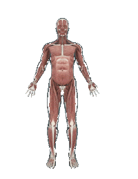 Lipohd Sticker by totaldefiner