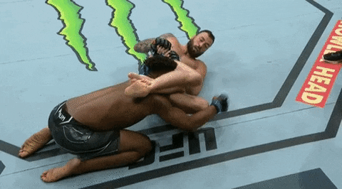 Imstillhungys giphyupload GIF