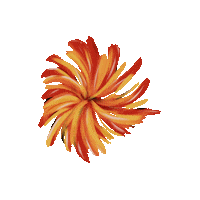 Flower Colors Sticker