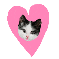 Cat Love Sticker by Flo Meije