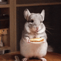 Pancake Sue GIF