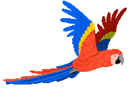 Flying Bird Of Paradise Sticker by Ellis D