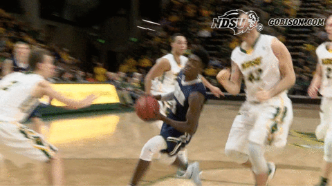 north dakota state basketball GIF by NDSU Athletics