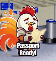 International Travel GIF by Zorooster