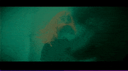 Party Rock GIF by Pure Noise Records