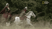 horses origins GIF by National Geographic Channel