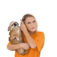 Canal Plus Sticker by La Boîte à Questions