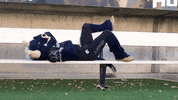 Bored Big Blue GIF by Utah State University