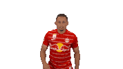 Celebrate Red Bull Sticker by FC Red Bull Salzburg