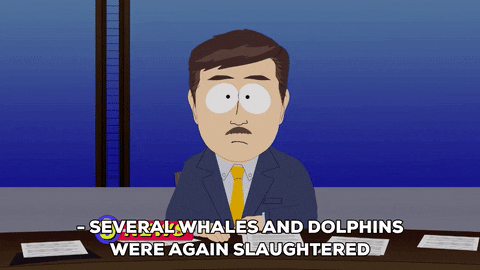 news report GIF by South Park 