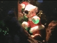 Robot Animatronics GIF by MANGOTEETH