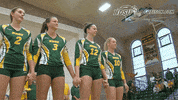 bison volleyball GIF by NDSU Athletics