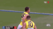 GIF by AFL