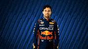Red Bull Mexico GIF by Oracle Red Bull Racing