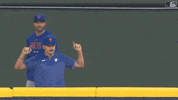Celebrate Major League Baseball GIF by New York Mets