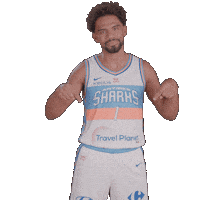 Sharksantibes Sticker by Antibes Sharks