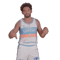 Sharksantibes Sticker by Antibes Sharks