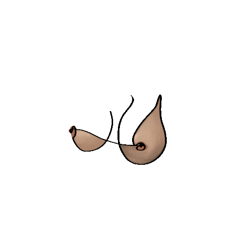Nikoibykai giphyupload boobs bounce nude Sticker