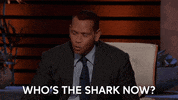 Shark Tank GIF by ABC Network