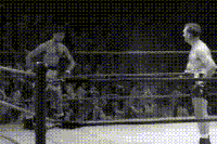 GIF by Demic