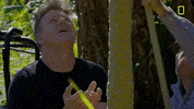 Uncharted Gordon Ramsay GIF by National Geographic Channel