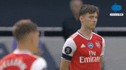 Football Sport GIF by MolaTV