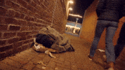Alley GIF by Better Noise Music