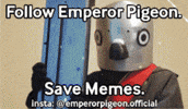 Great Depression Pigeon Meme GIF