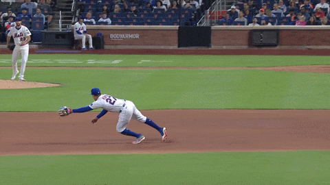 New York Mets Sport GIF by MLB