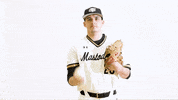 Ncaa Baseball Celebration GIF by Purdue Fort Wayne Athletics