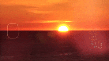 Black And White Reaction GIF by Andrew Bird