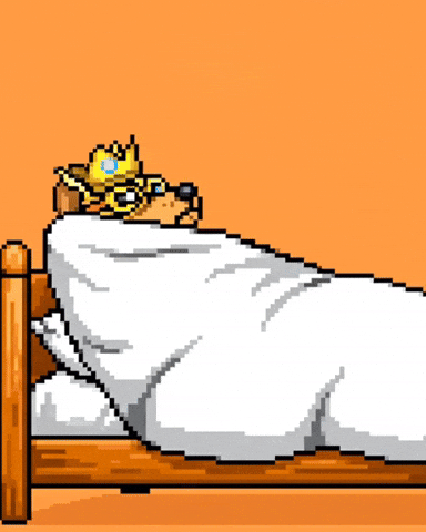 Dog Morning GIF by SkyDog Social