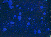 animation sustanciaproject GIF by EmiLi