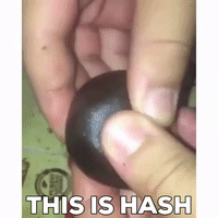 weed marijuana GIF by WeedFeed