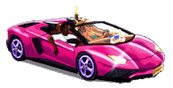 Pink Car Sticker by BURRY JUNIOR