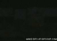 bob ph GIF