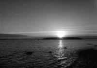 ingmar bergman GIF by Maudit