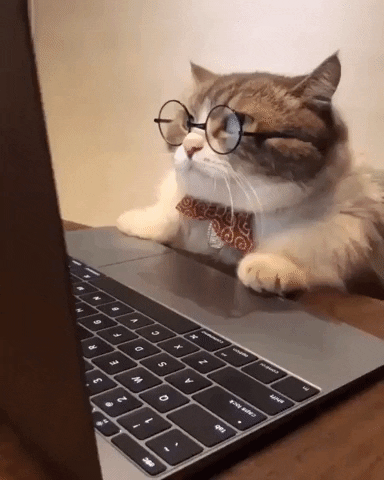Video gif. A chubby gray and white cat, dressed in circular glasses and a fun bow tie, sits at a table and looks at a laptop screen. He leans into the computer screen as he angrily hisses at it, not liking what he has just read. 