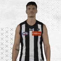 GIF by CollingwoodFC